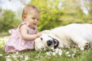 dog with baby