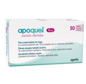Control Your Pup's Allergies with Apoquel -