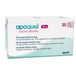 dog itch medication apoquel