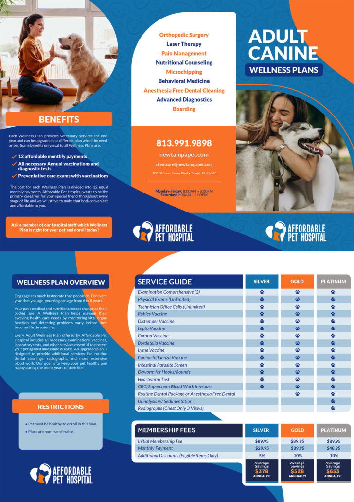 Affordable Pet Hospital Wellness Plans - New Tampa, FL