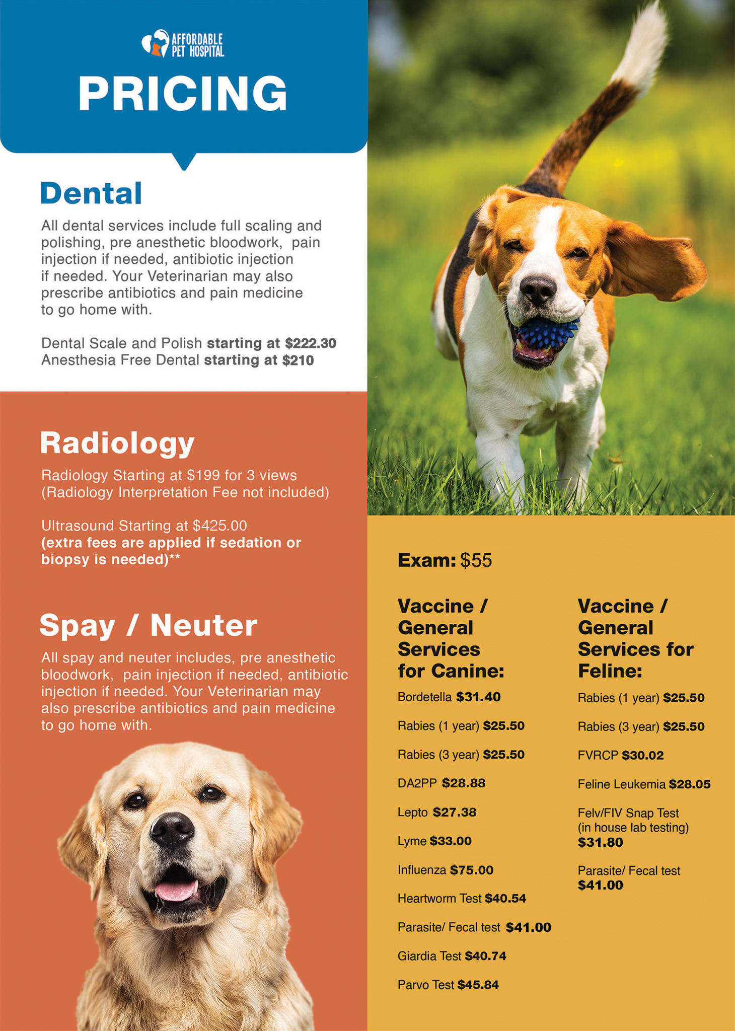 Affordable vet best sale pet clinic